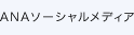 ANAソーシャルメディア